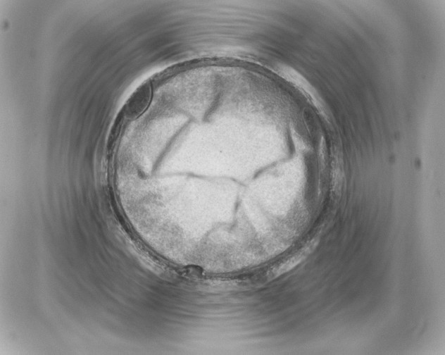 X0000085240924200704092019