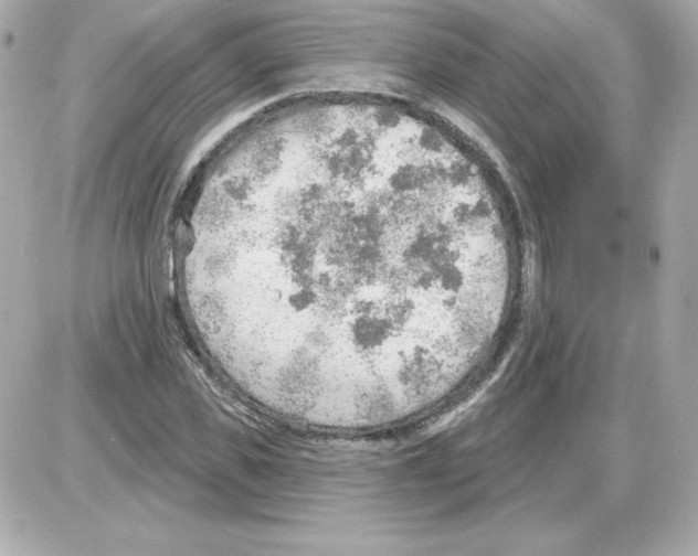 X0000085240925200704092019