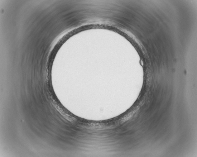 X0000085240927200704092019