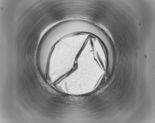 X0000085240928200704092019