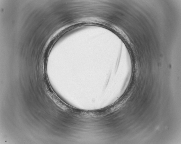 X0000085240931200704092019