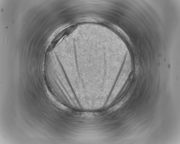 X0000085240938200704092019