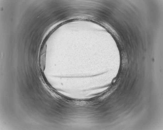 X0000085240940200704092019