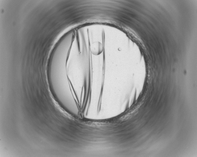 X0000085240942200704092019