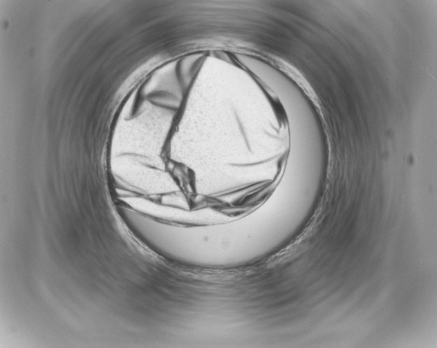 X0000085240946200704092020