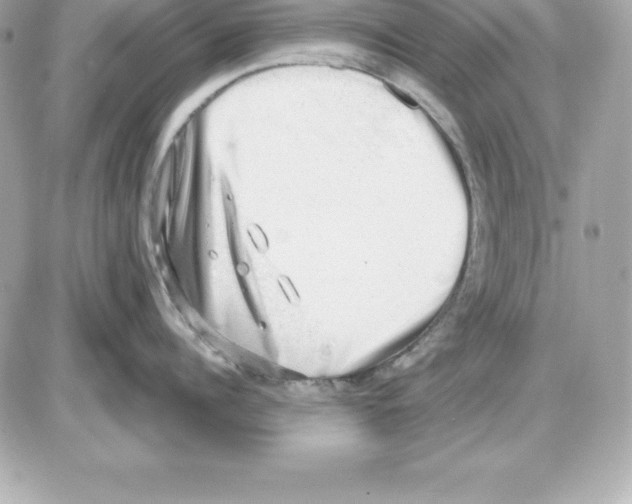 X0000085240960200704092020