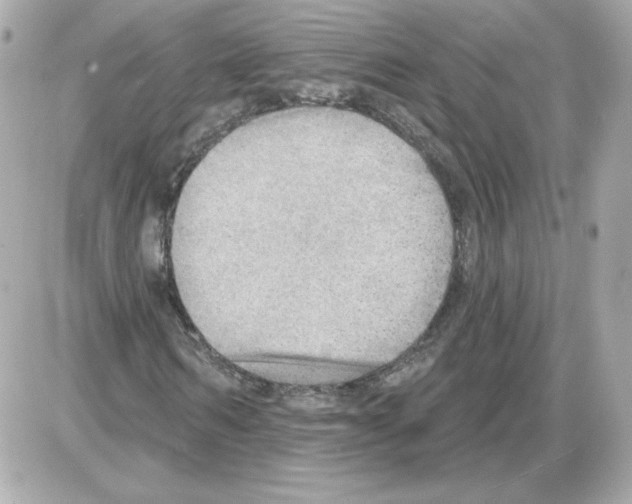 X0000085240962200704092019