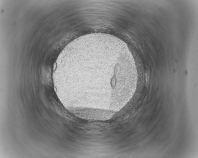 X0000085240963200704092019
