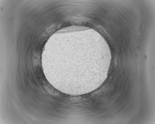 X0000085240964200704092019