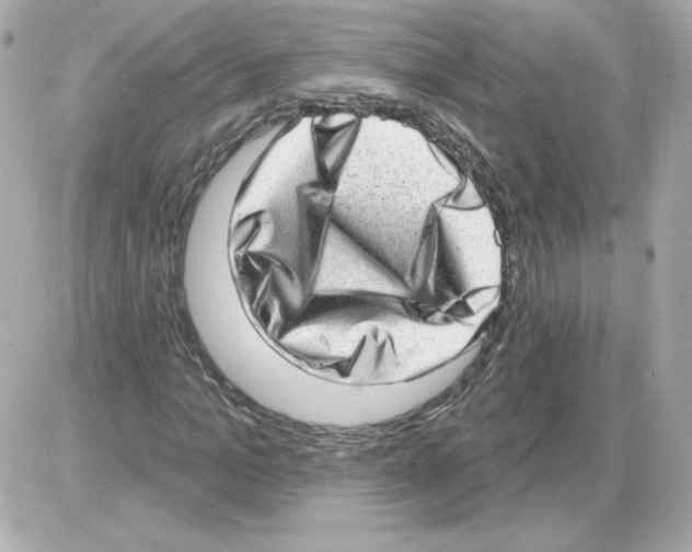 X0000085240965200704092019