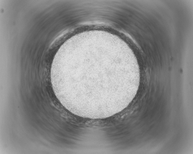 X0000085240967200704092019