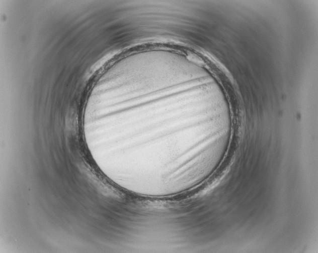 X0000085240969200704092019