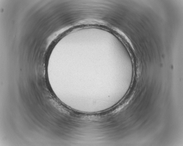 X0000085240973200704092019