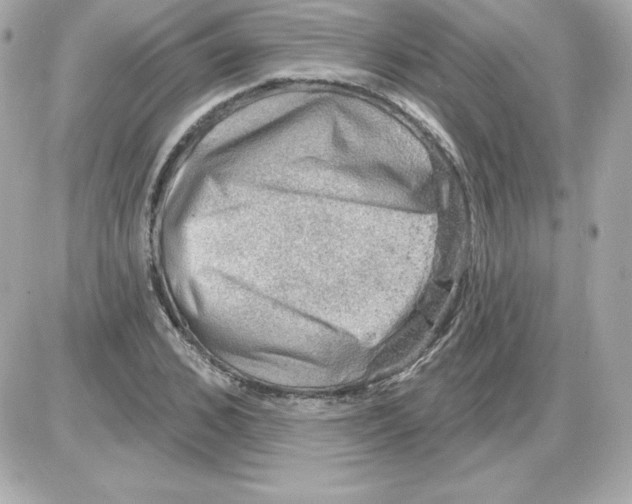 X0000085240976200704092019