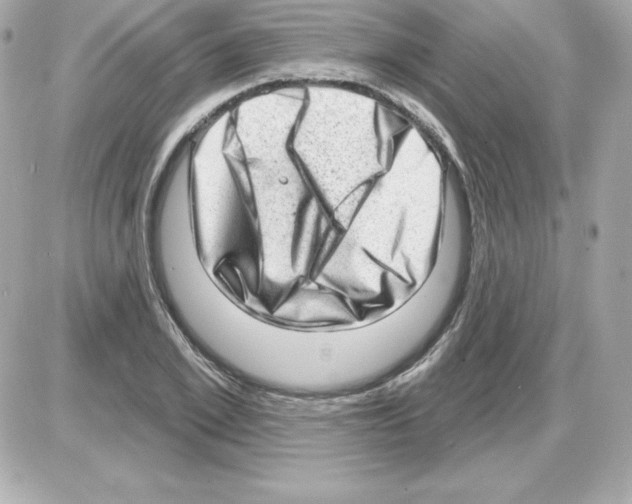 X0000085240981200704092019