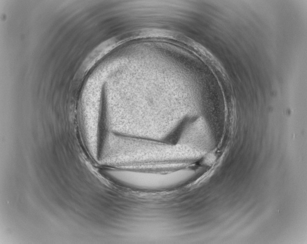 X0000085240985200704092019