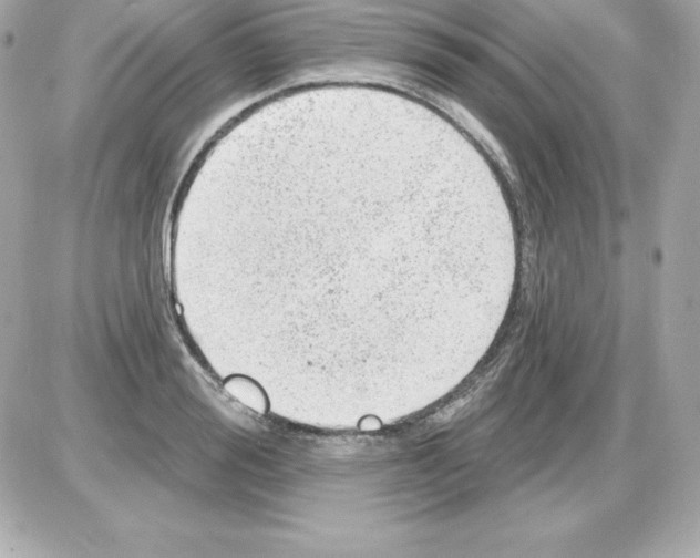 X0000085240988200704092019