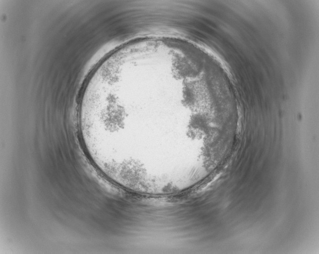 X0000085240990200704092019