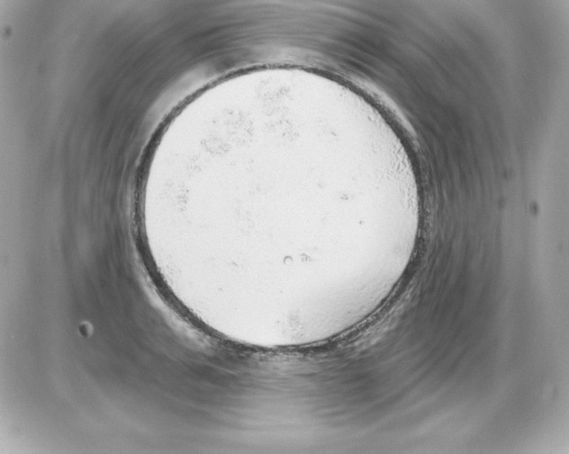X0000085240991200704092019