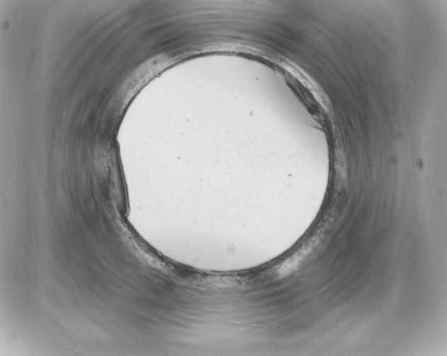X0000085240993200704092018