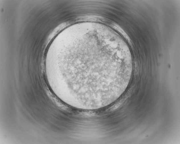 X0000085240994200704092018