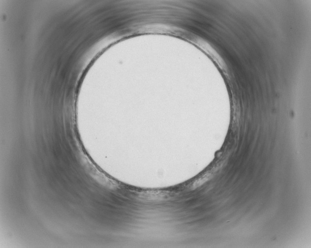 X0000085241000200704092018