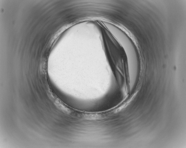 X0000085241001200704092018