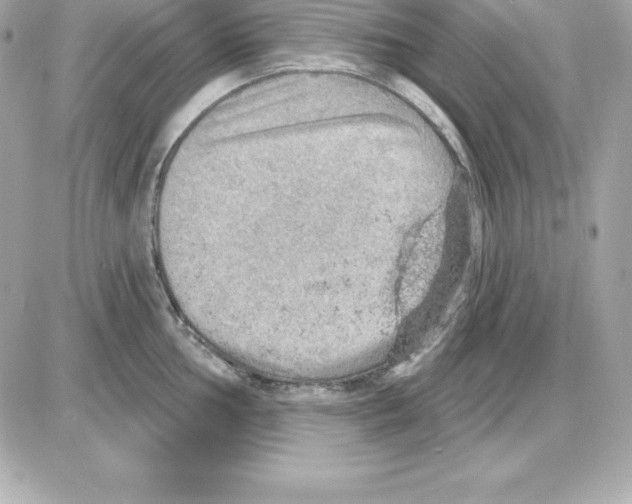 X0000085241002200704092018