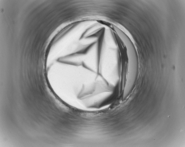 X0000085241005200704092018