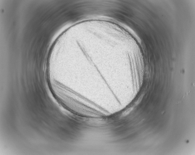 X0000085241007200704092018