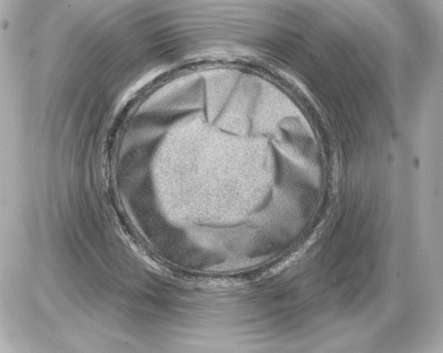 X0000085241018200704092018
