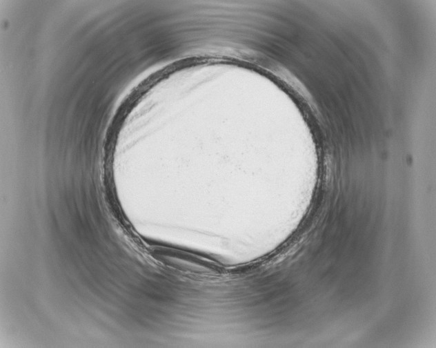 X0000085241020200704092018