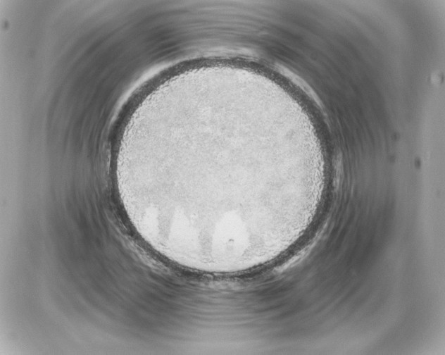 X0000085241021200704092018