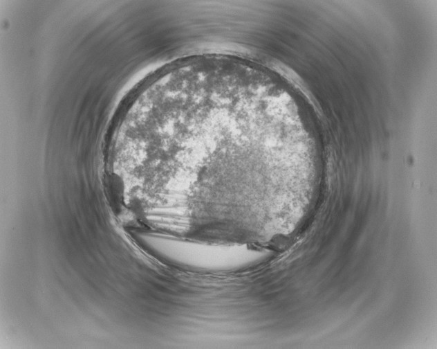 X0000085241024200704092018