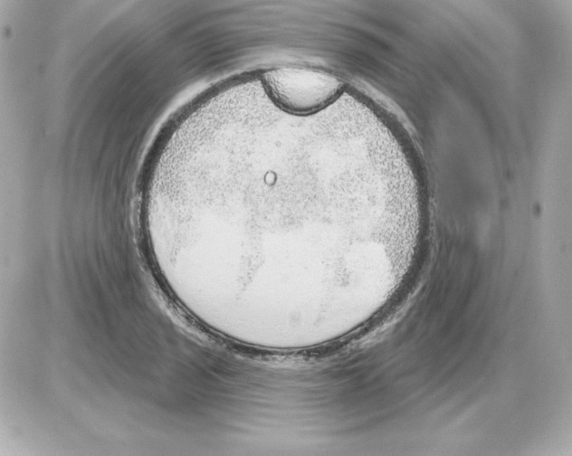X0000085241029200704092018