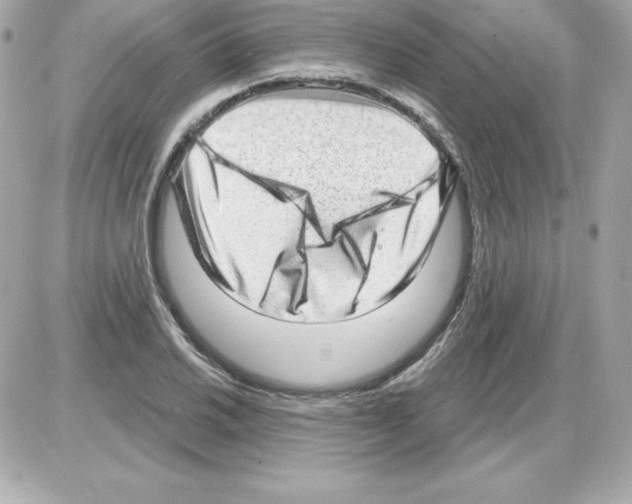 X0000085241030200704092018