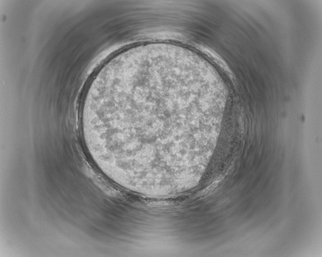 X0000085241031200704092018