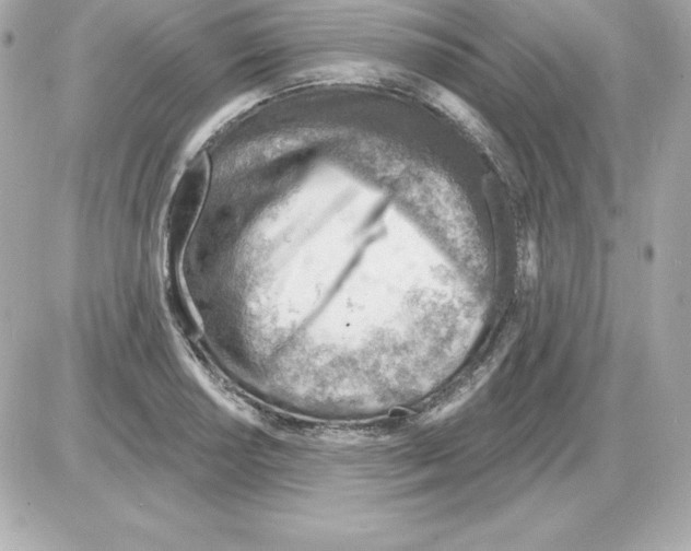 X0000085241034200704092018