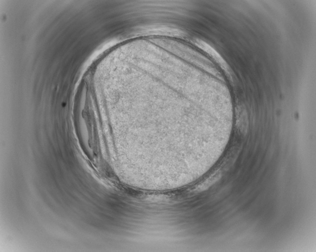 X0000085241043200704092018