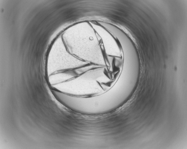 X0000085241046200704092018