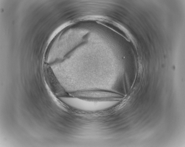 X0000085241050200704092018