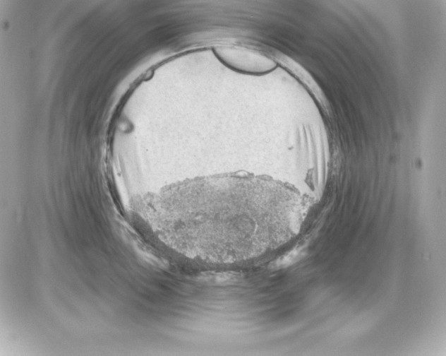 X0000085241051200704092018