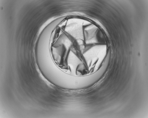 X0000085241054200704092018