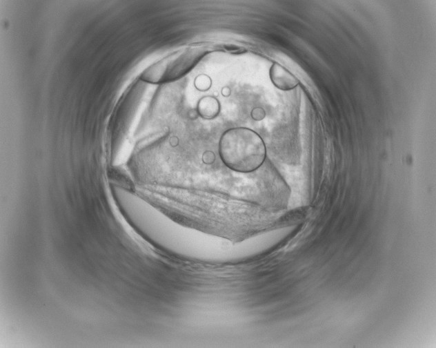 X0000085241055200704092018