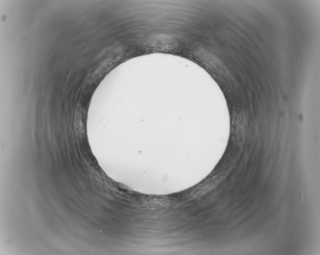 X0000085241058200704092017