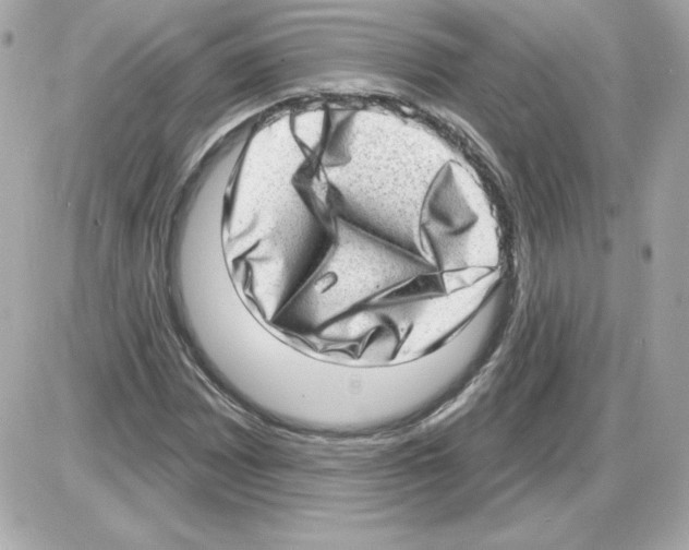 X0000085241065200704092017