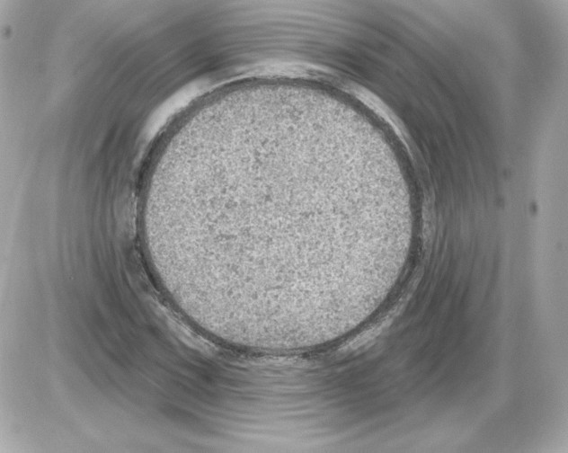 X0000085241067200704092017