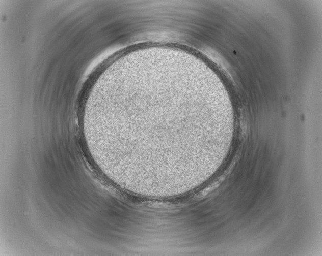 X0000085241070200704092017