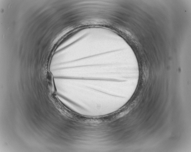 X0000085241073200704092017