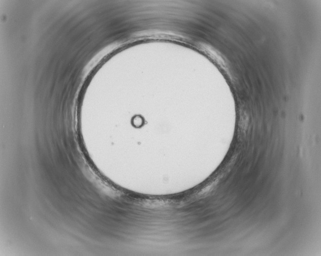 X0000085241082200704092017